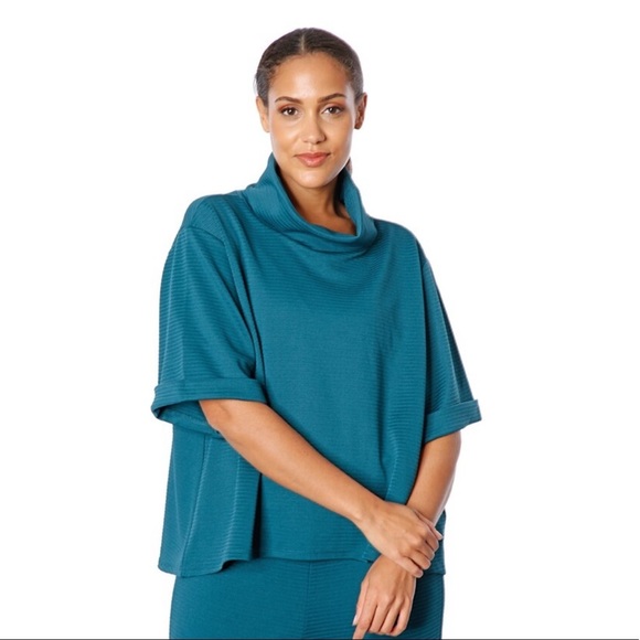 Nwt DIANE GILMAN oversized turtleneck top - Picture 1 of 5